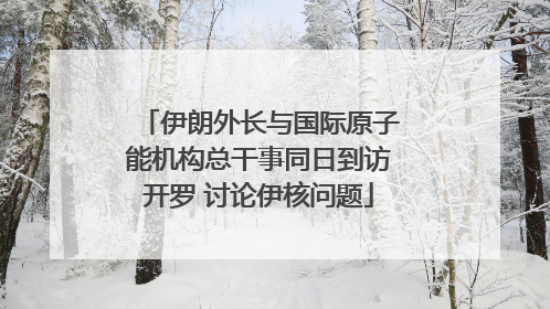 伊朗外长与国际原子能机构总干事同日到访开罗 讨论伊核问题