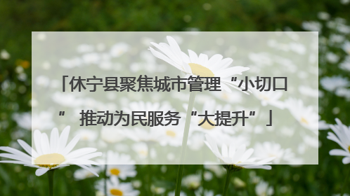 休宁县聚焦城市管理“小切口” 推动为民服务“大提升”