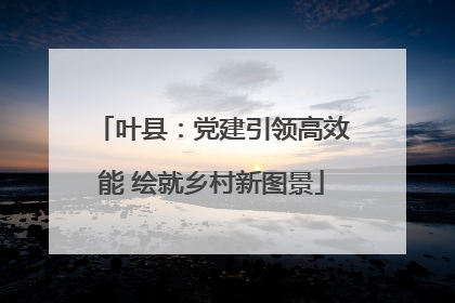 叶县：党建引领高效能 绘就乡村新图景