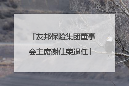 友邦保险集团董事会主席谢仕荣退任