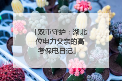 双重守护：湖北一位电力父亲的高考保电日记