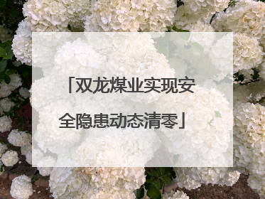 双龙煤业实现安全隐患动态清零