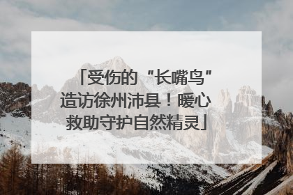 受伤的“长嘴鸟”造访徐州沛县！暖心救助守护自然精灵