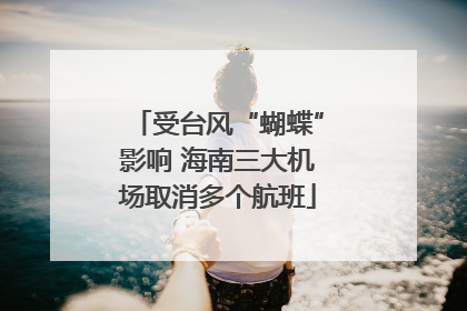 受台风“蝴蝶”影响 海南三大机场取消多个航班