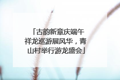 古韵新章庆端午 祥龙巡游展风华，青山村举行游龙盛会