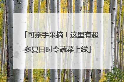 可亲手采摘！这里有超多夏日时令蔬菜上线