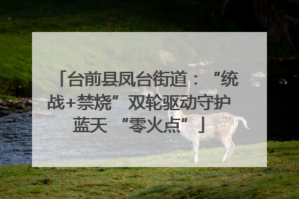 台前县凤台街道：“统战+禁烧”双轮驱动守护蓝天 “零火点”
