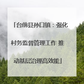 台前县孙口镇：强化村务监督管理工作 推动基层治理高效能
