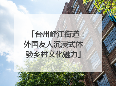 台州峰江街道：外国友人沉浸式体验乡村文化魅力