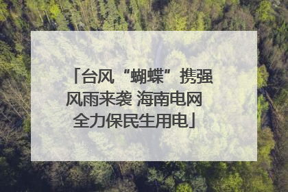 台风“蝴蝶”携强风雨来袭 海南电网全力保民生用电