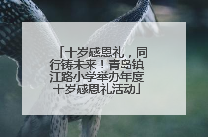 十岁感恩礼，同行铸未来！青岛镇江路小学举办年度十岁感恩礼活动