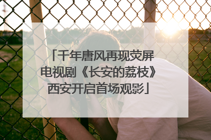 千年唐风再现荧屏 电视剧《长安的荔枝》西安开启首场观影