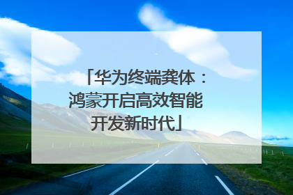 华为终端龚体：鸿蒙开启高效智能开发新时代