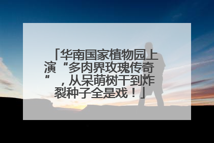 华南国家植物园上演“多肉界玫瑰传奇”，从呆萌树干到炸裂种子全是戏！
