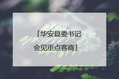 华安县委书记会见重点客商