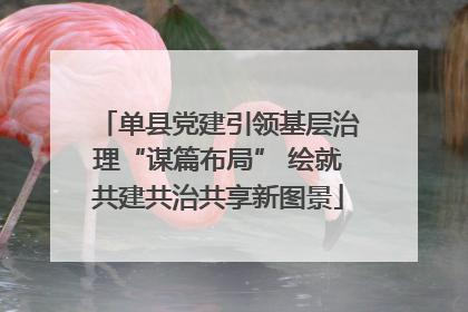 单县党建引领基层治理“谋篇布局” 绘就共建共治共享新图景