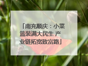南充顺庆：小菜篮装满大民生 产业链拓宽致富路