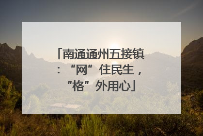 南通通州五接镇：“网”住民生，“格”外用心