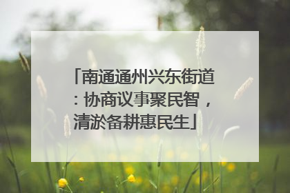 南通通州兴东街道：协商议事聚民智，清淤备耕惠民生