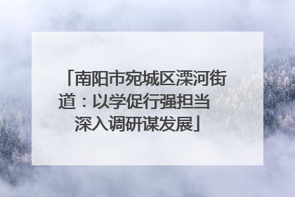 南阳市宛城区溧河街道：以学促行强担当 深入调研谋发展