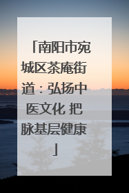 南阳市宛城区茶庵街道：弘扬中医文化 把脉基层健康