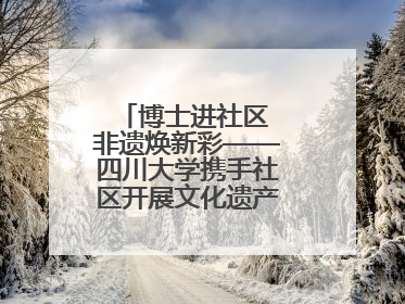 博士进社区 非遗焕新彩——四川大学携手社区开展文化遗产日特别活动