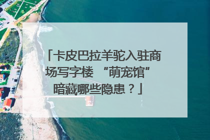 卡皮巴拉羊驼入驻商场写字楼 “萌宠馆”暗藏哪些隐患？