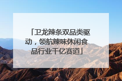 卫龙辣条双品类驱动，领航辣味休闲食品行业千亿赛道