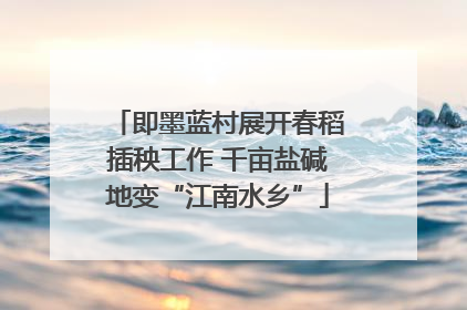 即墨蓝村展开春稻插秧工作 千亩盐碱地变“江南水乡”