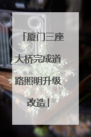 厦门三座大桥完成道路照明升级改造