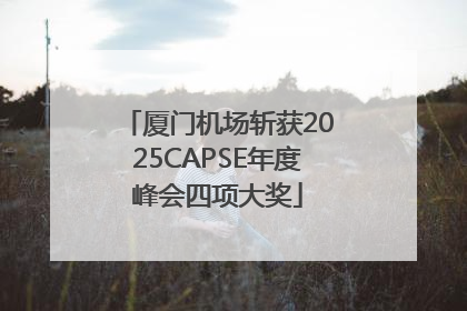 厦门机场斩获2025CAPSE年度峰会四项大奖