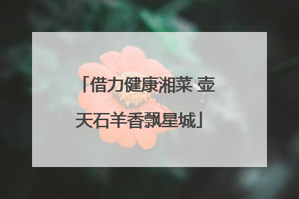 借力健康湘菜 壶天石羊香飘星城