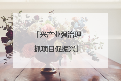 兴产业强治理 抓项目促振兴