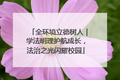 全环境立德树人｜学法明理护航成长，法治之光闪耀校园