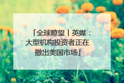 全球瞭望丨英媒：大型机构投资者正在撤出美国市场