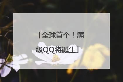 全球首个！满级QQ将诞生