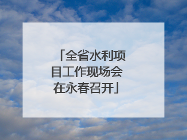全省水利项目工作现场会在永春召开