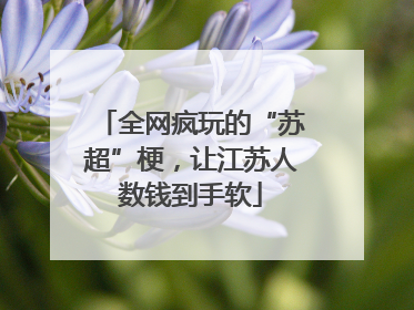 全网疯玩的“苏超”梗，让江苏人数钱到手软