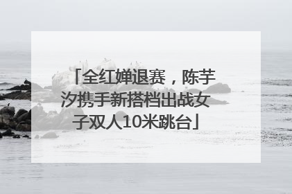 全红婵退赛，陈芋汐携手新搭档出战女子双人10米跳台