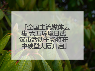 全国主流媒体云集 六五环境日武汉市活动主场将在中碳登大厦开启