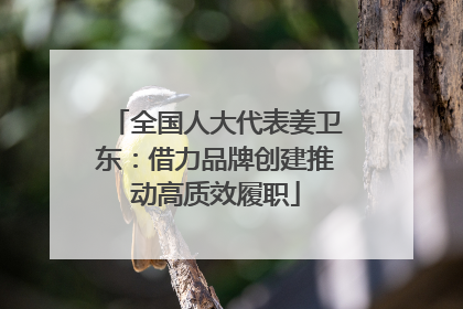 全国人大代表姜卫东：借力品牌创建推动高质效履职