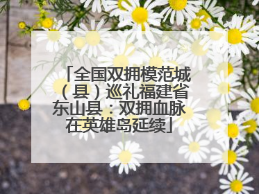 全国双拥模范城（县）巡礼福建省东山县：双拥血脉在英雄岛延续