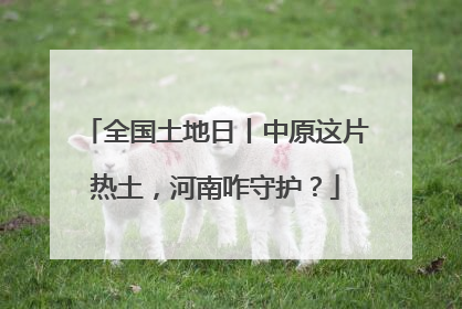 全国土地日丨中原这片热土，河南咋守护？