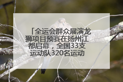 全运会群众展演龙狮项目预赛在扬州江都启幕，全国33支运动队320名运动员“龙争狮斗”
