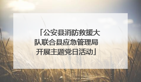 公安县消防救援大队联合县应急管理局开展主题党日活动