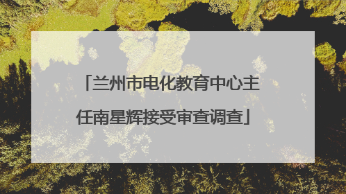 兰州市电化教育中心主任南星辉接受审查调查