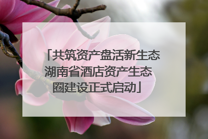 共筑资产盘活新生态 湖南省酒店资产生态圈建设正式启动