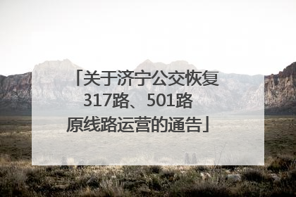 关于济宁公交恢复317路、501路原线路运营的通告