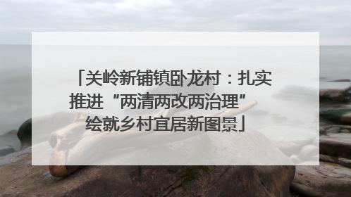 关岭新铺镇卧龙村：扎实推进“两清两改两治理” 绘就乡村宜居新图景