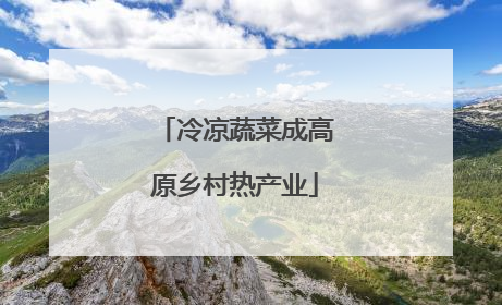 冷凉蔬菜成高原乡村热产业